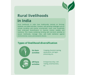 Screenshot 2026-01-21 100132 (1)